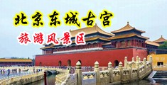 黄色片日B污中国北京-东城古宫旅游风景区